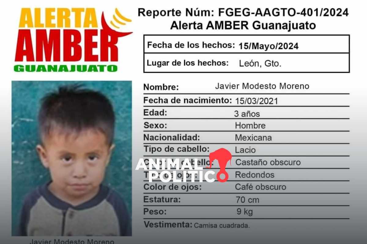 Javier, niño de tres años de Guerrero, desaparece en Guanajuato; sus padres trabajan como jornaleros