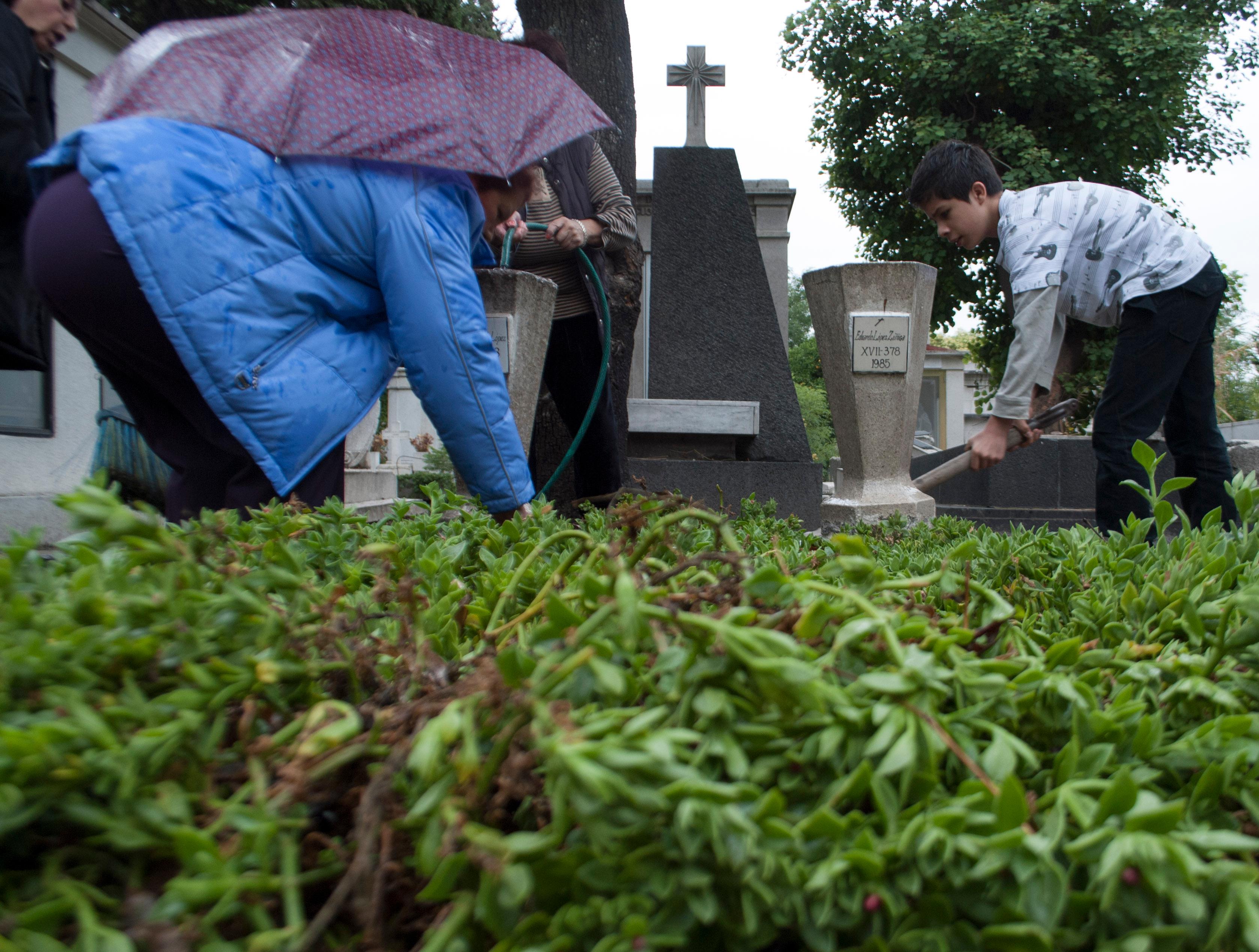 Aseguran más de dos toneladas de marihuana en panteón de Tamaulipas