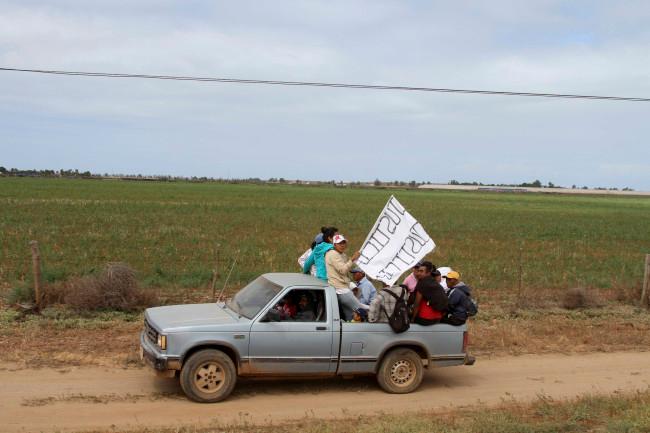 Autoridades de Sinaloa y Sonora investigan desaparición de 11 jornaleros