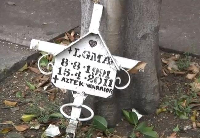 Anualmente 24 mil mexicanos mueren en accidentes viales