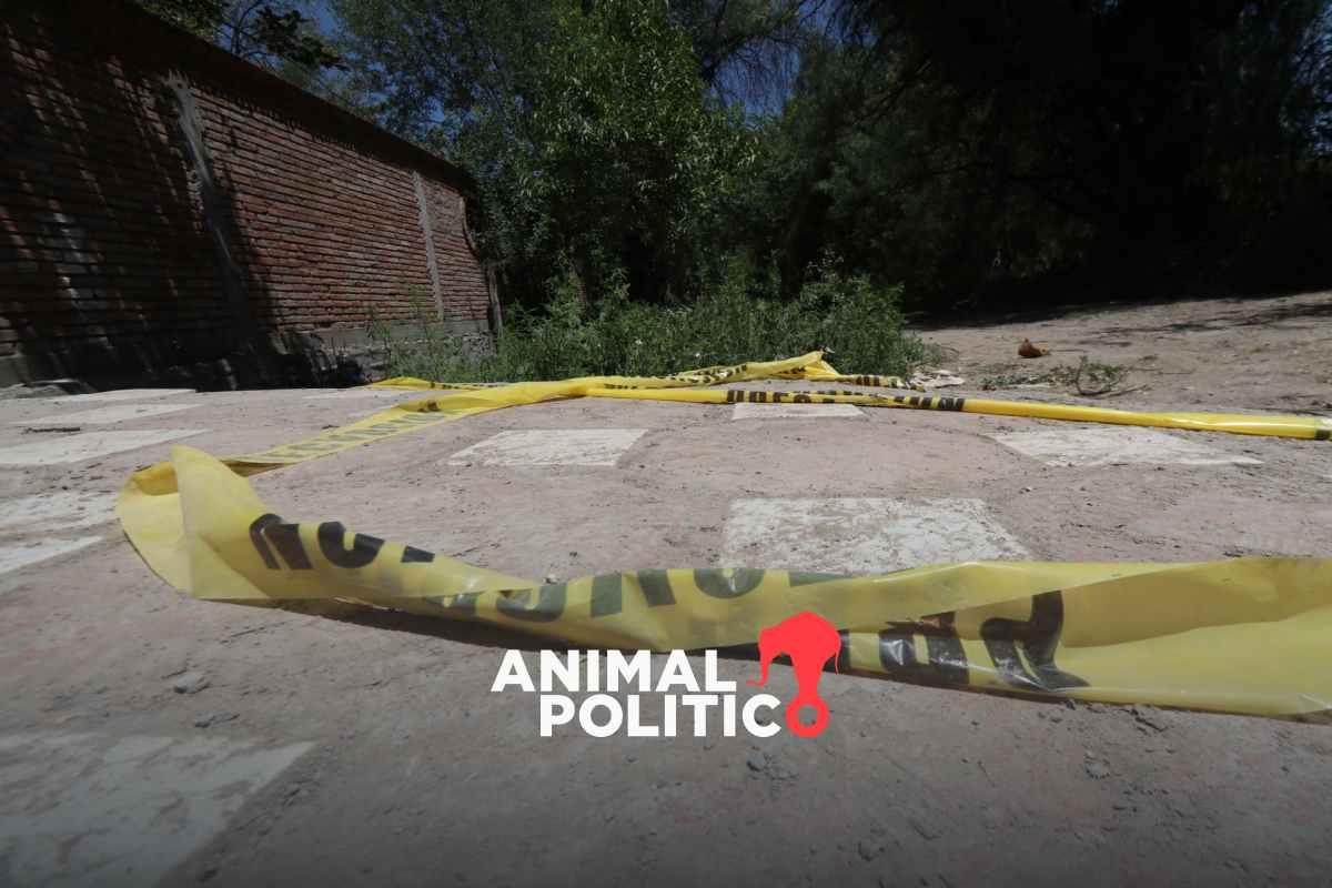 Puebla: Hallan siete cuerpos adentro de un auto abandonado en Periférico Ecológico