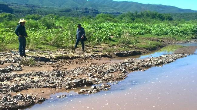 Tras contaminar río Sonora, Grupo México siguió tirando tóxicos, acusa Protección Civil