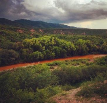 Cofepris pedirá a responsables crear un fondo para víctimas del derrame en río de Sonora