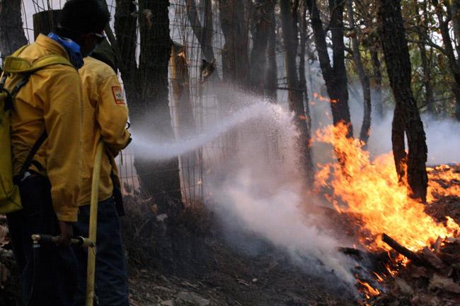 Desalojan dos comunidades por incendios en SLP