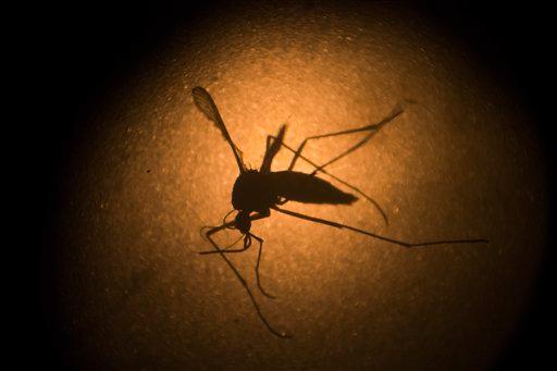 El virus de zika sí se transmite por vía sexual; EU pide usar condón