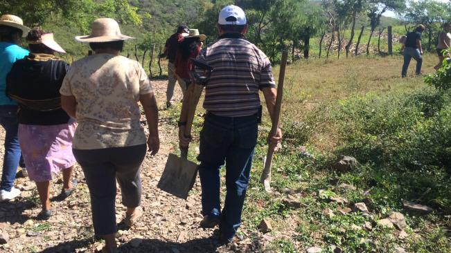 Hallan cuatro nuevas fosas al oeste de Iguala