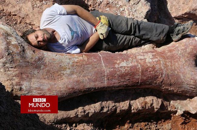Hallan en Argentina al “dinosaurio más grande jamás descubierto”