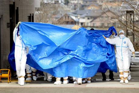 La OMS descarta riesgo para la salud en Japón