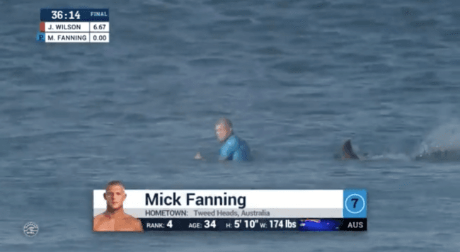 Surfista se salva del ataque de dos tiburones