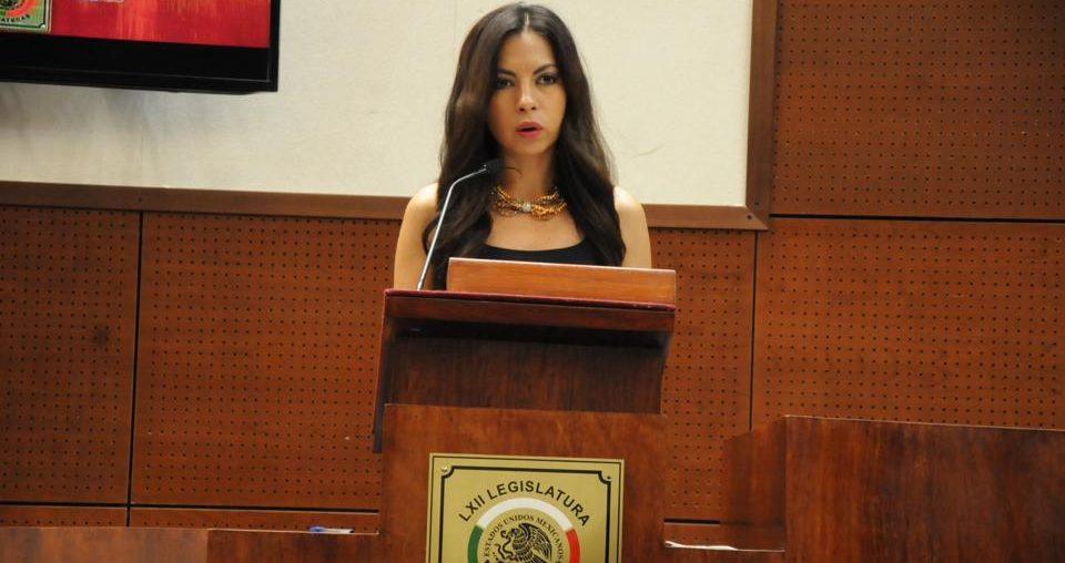 Diputada busca evitar violaciones en Zacatecas cercando las casas con malla