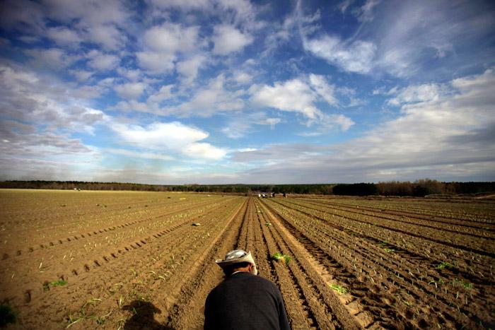 Descubren red de corrupción en Sagarpa