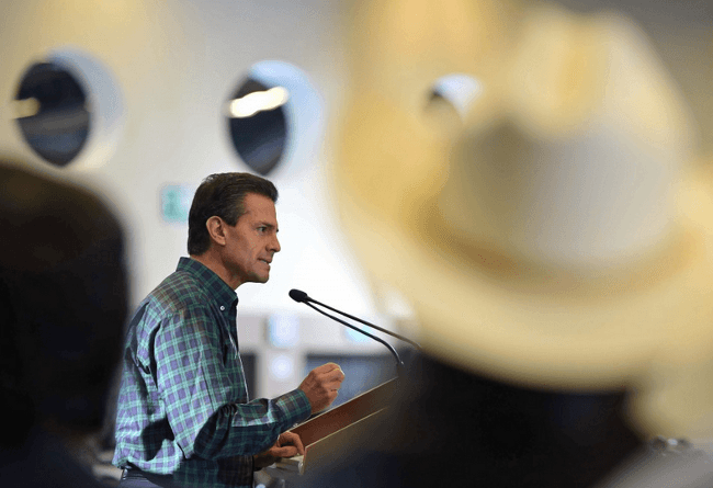 Durante 2014 se destinarán 44 mil mdp en préstamos para el campo: Peña Nieto