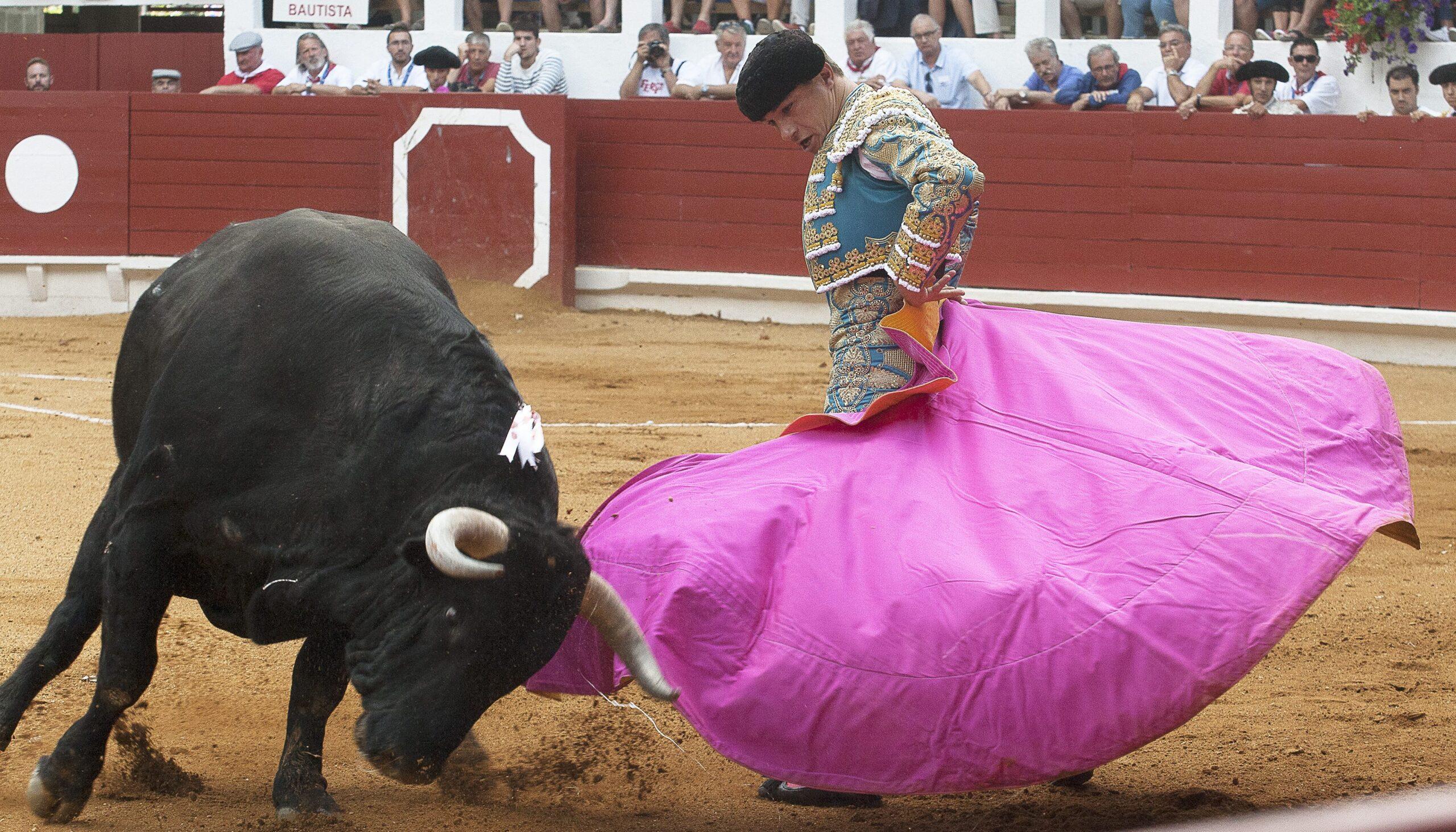 Ni sangre ni muerte: una región de España avala ley que prohíbe sufrimiento del toro en corridas