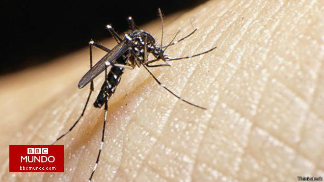 El zika, el virus que se está propagando por América Latina