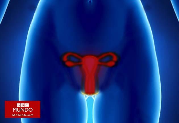 El número mágico de la fertilidad femenina