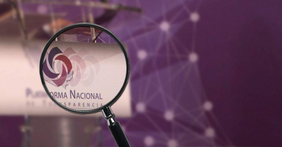 Cero en transparencia: Edomex, Veracruz, NL y BCS incumplen sus obligaciones