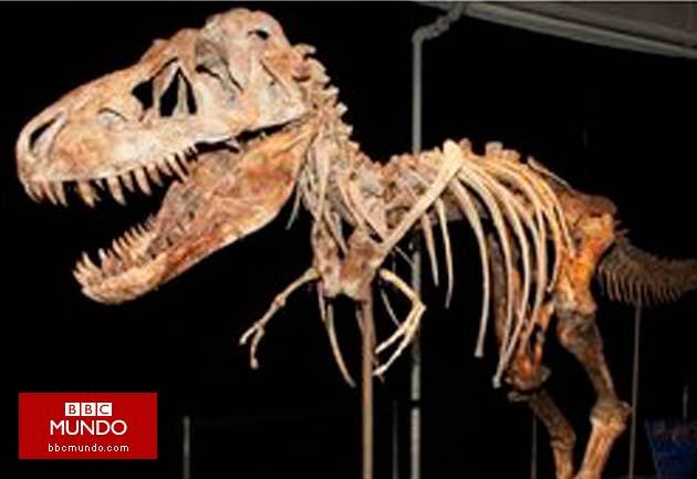 Los dinosaurios eran animales de sangre caliente, según investigadores