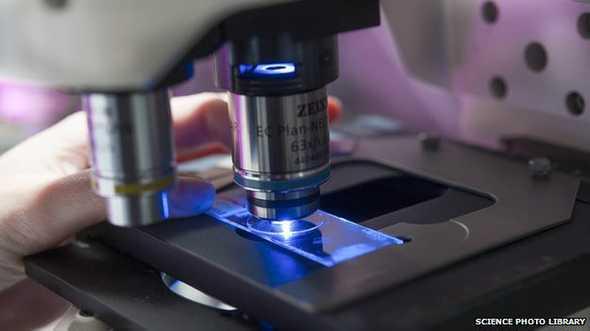 Nobel de Química para creadores de microscopio fluorescente de alta resolución