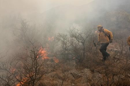 Reportan 5 mil 105 hectáreas afectadas por incendios en Chiapas