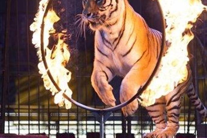 El Congreso de Puebla aprueba el circo sin animales