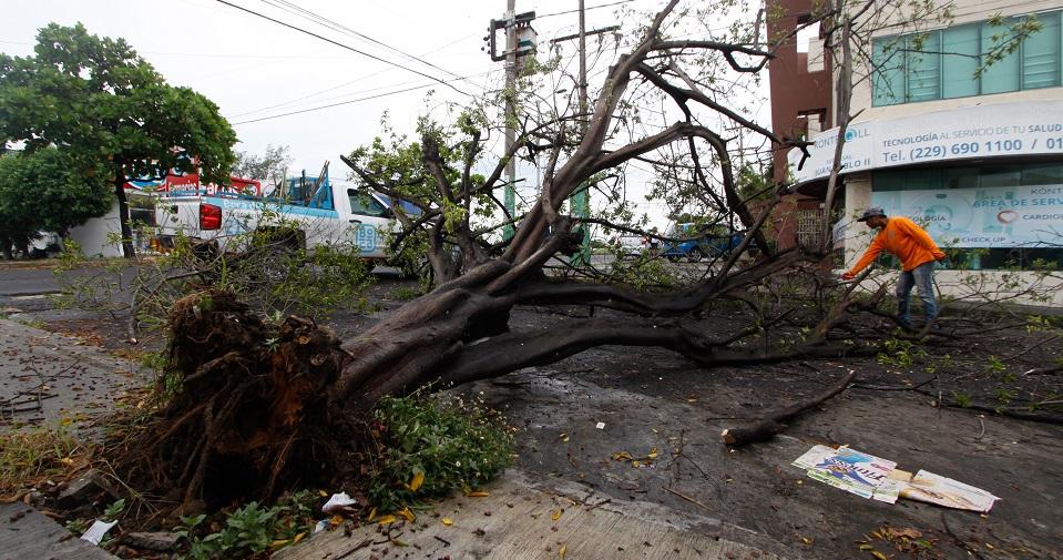 Franklin deja derrumbes, caída de árboles y afectaciones a caminos en Puebla y Veracruz