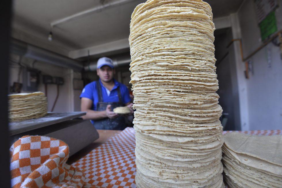 ¿Subirá el precio de la tortilla? Esto dicen campesinos, líderes industriales y gobierno federal