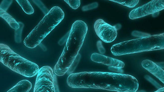 Descubren en China bacteria capaz de resistir a uno de los antibióticos más poderosos