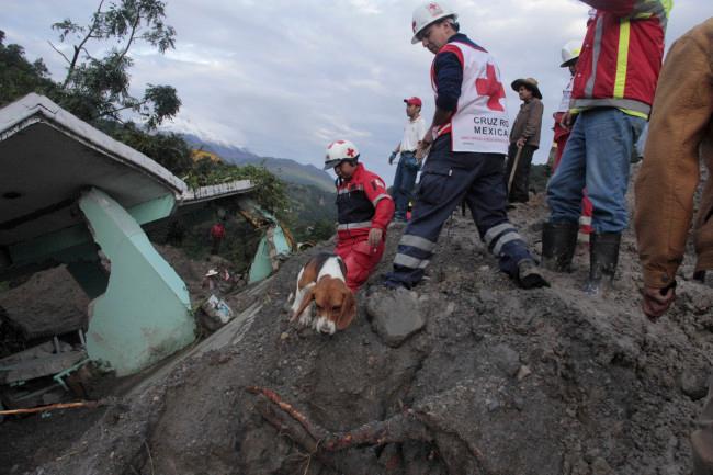 Reportan 13 muertos por deslave en Veracruz