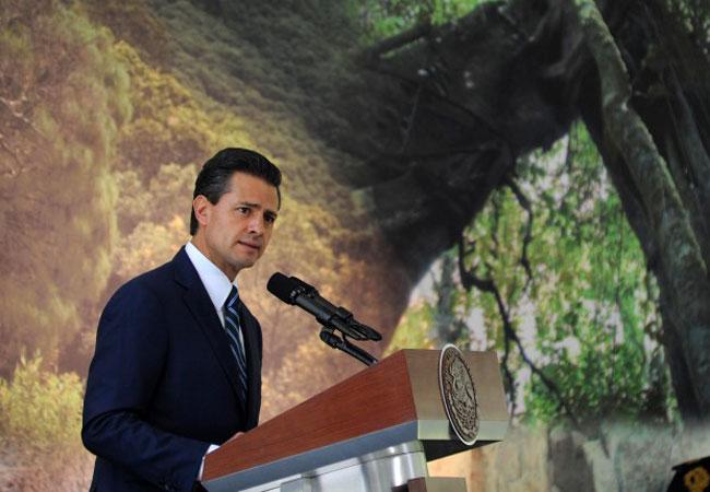 Peña Nieto anuncia reformas a Pemex en breve