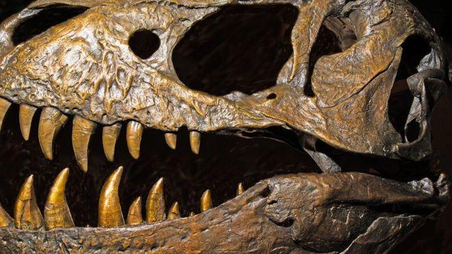 ¿De dónde vienen realmente los dinosaurios? El inesperado origen de las criaturas que dominaron la Tierra