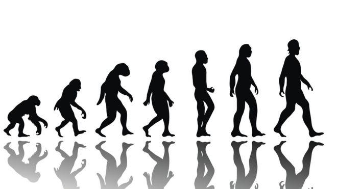 Cómo evolucionaremos los humanos en los próximos 200 años (una visión que puede ser aterradora)