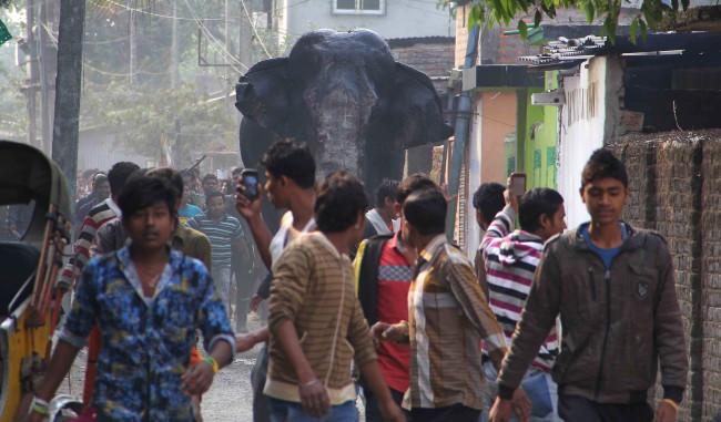 Elefanta salvaje destruye casas y provoca caos en India