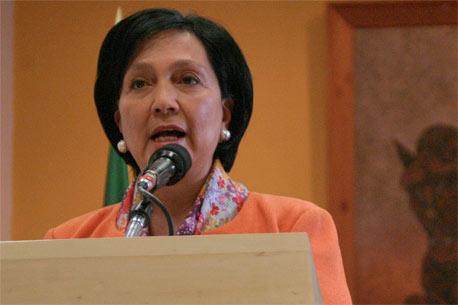 Las irregularidades de Amalia