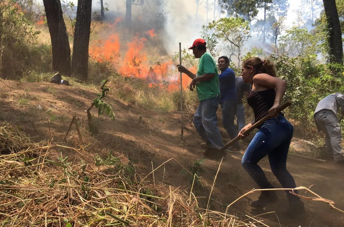 Los incendios en Uruapan devastan 250 hectáreas y siguen fuera de control