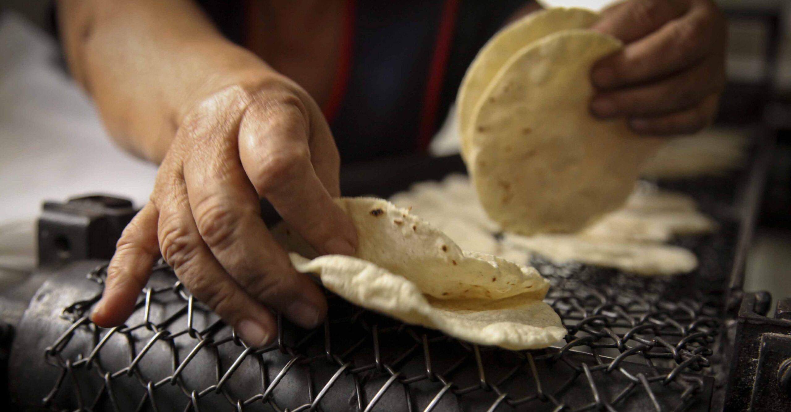 Cofece investiga posible manipulación ilegal del precio de la tortilla en San Luis Potosí