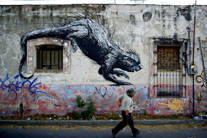 Fotogalería: Criaturas salvajes <br> en un México urbano