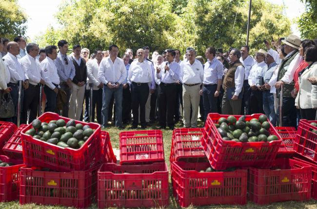 Abatimiento del Chayo se logró gracias a denuncia ciudadana: EPN