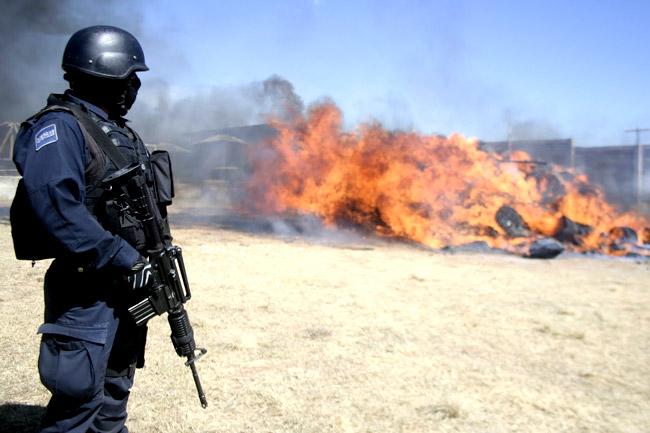 “Policías federales están cayendo como moscas en Michoacán”