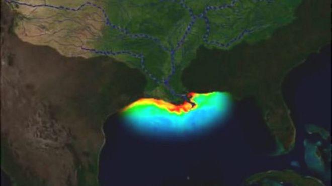 La zona muerta del golfo de México que preocupa a los científicos porque la vida es inviable
