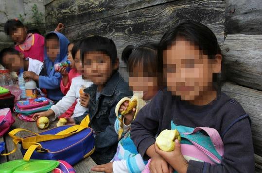 Senadores aprueban nueva Ley de derechos de la infancia en lo general