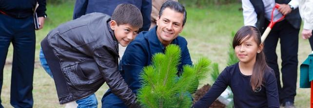 La Campaña Nacional de Reforestación 2014 recuperará 170 mil hectáreas: Peña Nieto