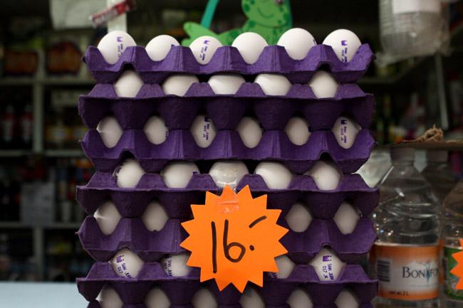 SE analiza importar huevo de EU ante gripe aviar