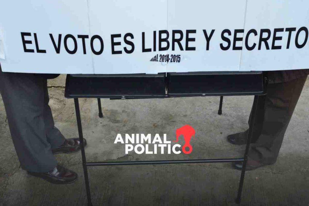 Alcaldes y diputados buscan la reelección o imponen a familiares en Guerrero