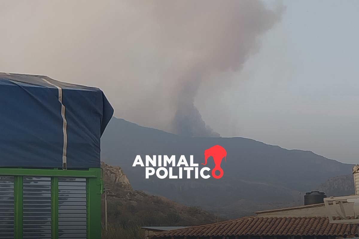 Exigen apoyo para sofocar incendio forestal en Oaxaca que alcanzaría cuevas históricas