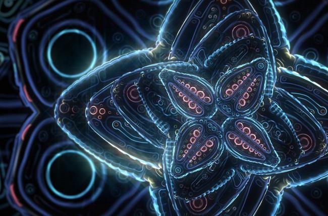 ¡No, no andas en drogas, es una animación con mándalas!