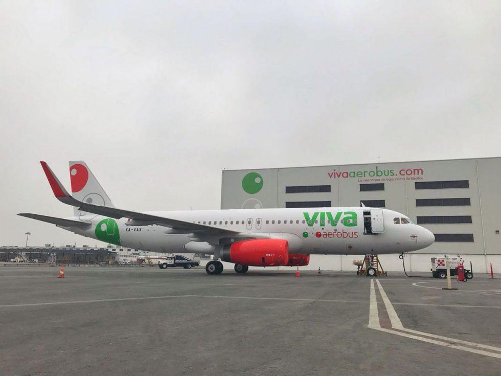 Elvia compra pasaje especial para su gato, y Viva Aerobus lo pierde en la CDMX