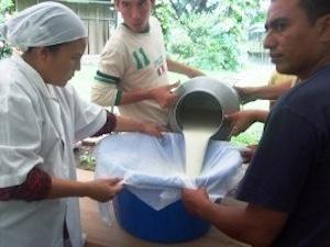 Generarán productores de queso en Sonora su propia energía