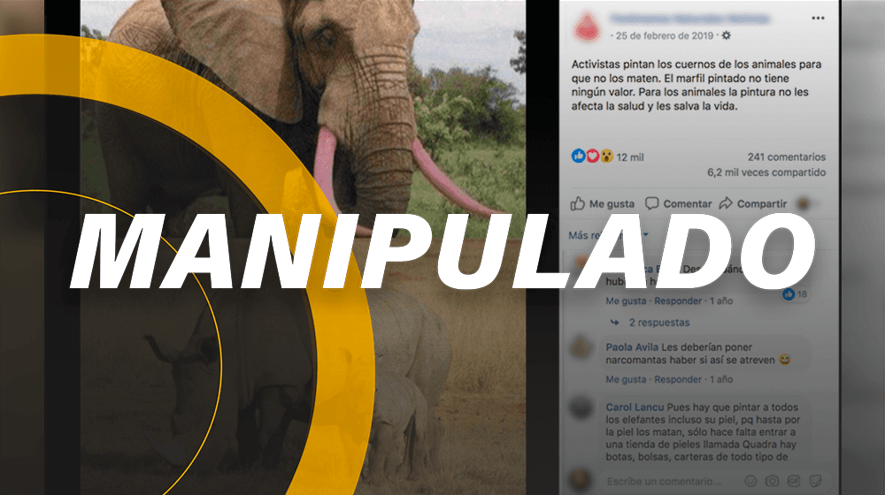 ¿Viste la *foto de elefantes y rinocerontes con colmillos y cuernos rosas*? Están manipuladas