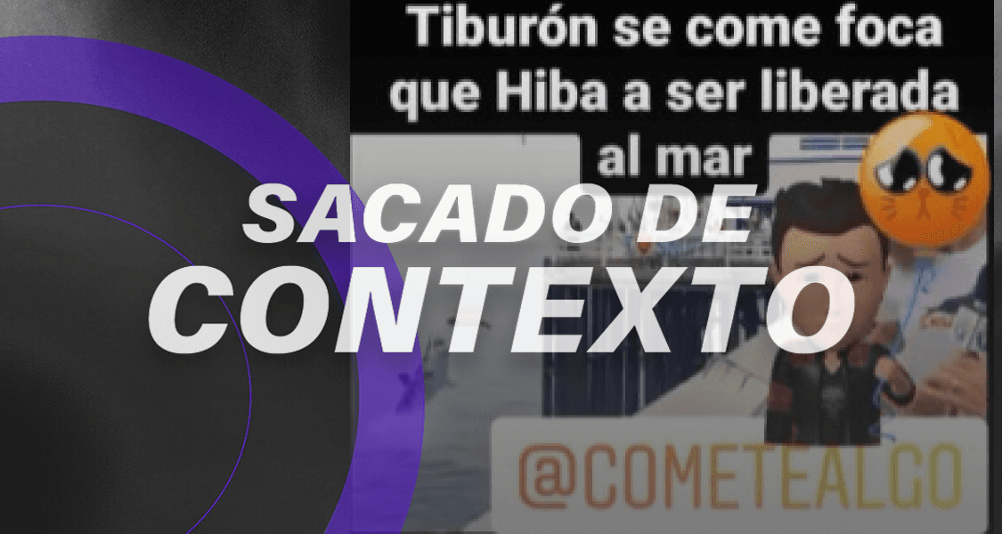 ¡Ájalas, mandibulín! El video de un *tiburón que salta para devorar una foca* es un comercial