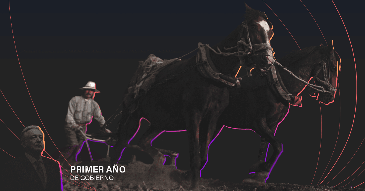 Gobierno promete apoyar al campo, pero hay dudas sobre la estrategia para hacerlo